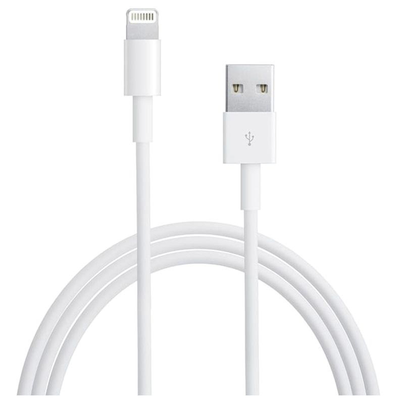 etnisch nationale vlag openbaring Apple MD818ZM/A Lightning / USB Kabel - iPhone, iPad, iPod - 1m