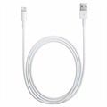 Originele Apple Lightning Kabel MXLY2ZM/A - iPhone, iPad, iPod - 1m