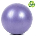 Milieuvriendelijke Oefen Yogabal - 25cm