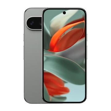 Google Pixel 9 Pro - 128 GB - Grijsgroen