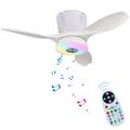 LEC016R RGB plafondventilatorlamp met Bluetooth luidspreker - Wit