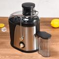 Multifunctionele 2-snelheden slowjuicer met sapreservoir - Zilver / Zwart