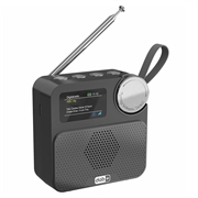 P2D draagbare DAB+-radio met Bluetooth 5.0 - 1.47" - zwart