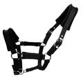 Gevoerd paardenhalster 25mm - Maat M - Zwart