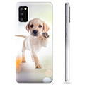 Samsung Galaxy A41 TPU Hoesje - Hond