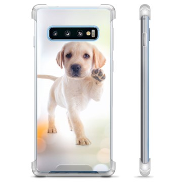 Samsung Galaxy S10 Hybrid Hoesje - Hond