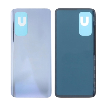 Xiaomi Mi 10T 5G/10T Pro 5G Achterkant - Zilver