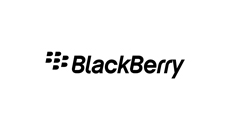 BlackBerry scherm en andere onderdelen