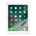 iPad 9.7 Displayglas Reparatie - Wit