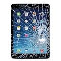 iPad Air Displayglas Reparatie - Zwart