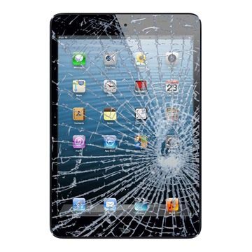 iPad Mini 3 Displayglas Reparatie - Zwart
