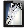 iPad 2 LCD Display Reparatie - Zwart