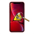 iPhone XR Diagnose