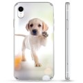 iPhone XR Hybrid Hoesje - Hond